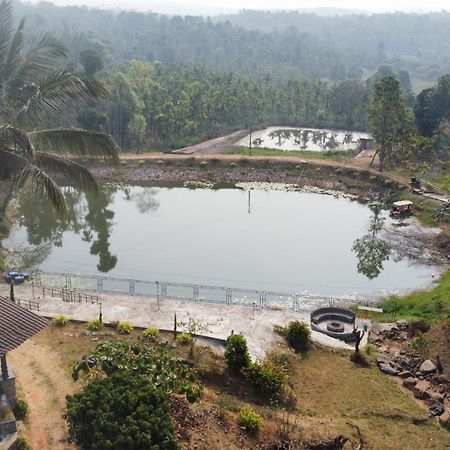 Willostays Villa Tranquil De Susanj Sakleshpur Luaran gambar