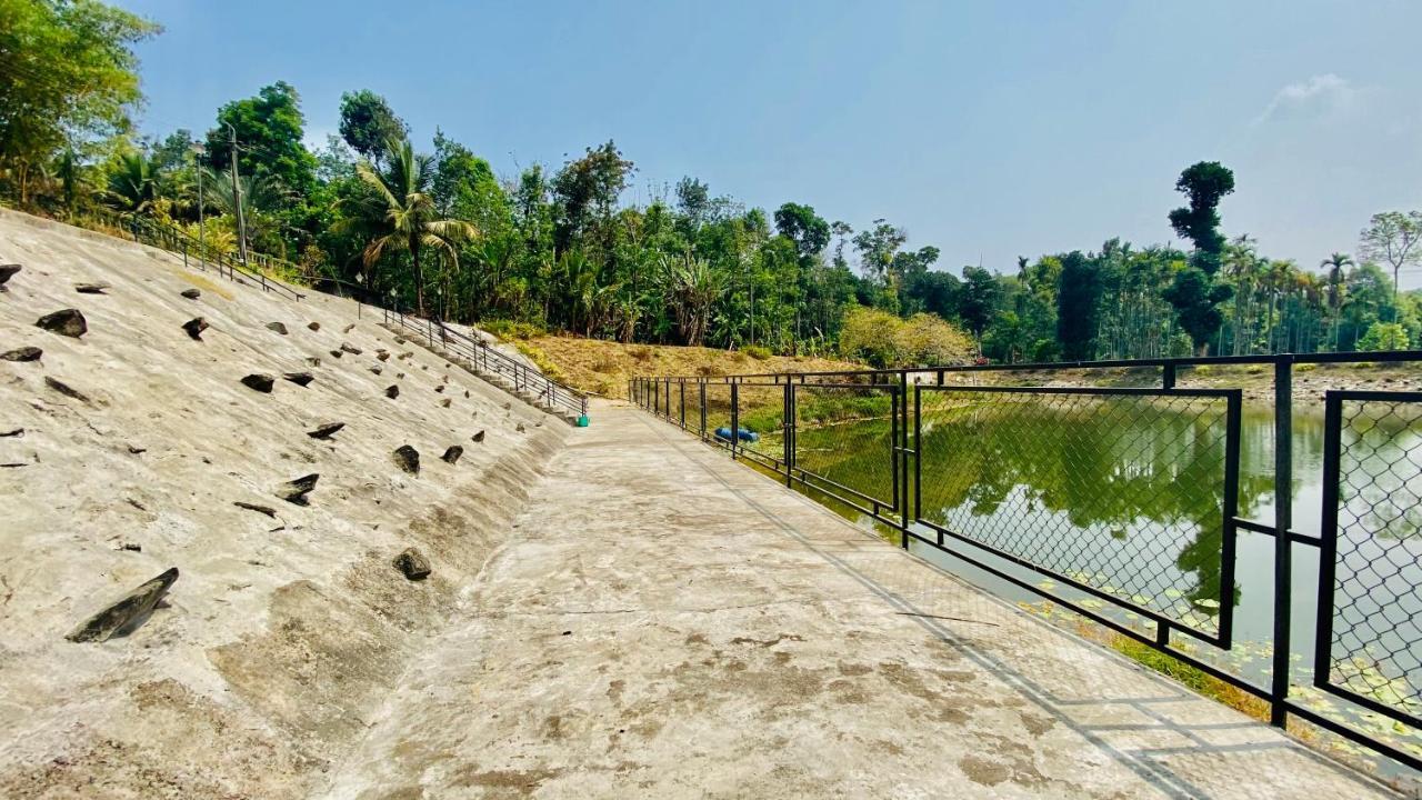 Willostays Villa Tranquil De Susanj Sakleshpur Luaran gambar